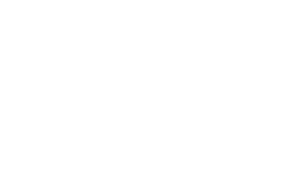RISO logo new white